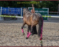 2-13JUIN 0155